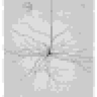 The same image reduced to 48 by 48 pixels, 4-bit grayscale